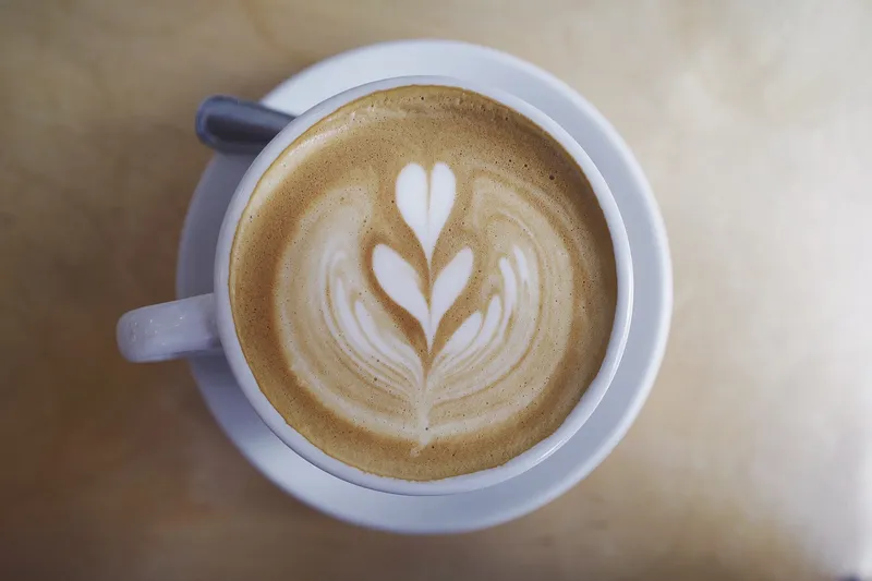 A milk coffee with leaf-pattern latte art in a white cup on a saucer, seen from above